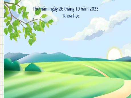 Bài giảng Khoa học Lớp 4 (Kết nối tri thức) - Chủ đề 2: Năng lượng - Bài 9: Vai trò của ánh sáng - Năm học 2023-2024