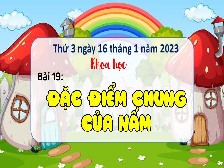 Bài giảng Khoa học Lớp 4 (Kết nối tri thức) - Chủ đề 4: Nấm - Bài 19: Đặc điểm chung của nấm
