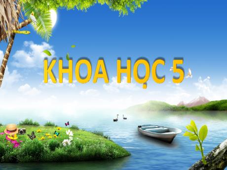 Bài giảng Khoa học Lớp 5 - Bài 29: Thủy tinh