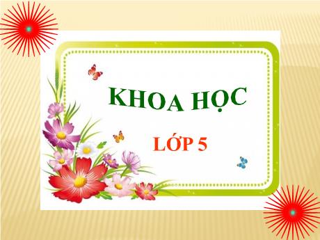 Bài giảng Khoa học Lớp 5 - Bài 32: Tơ sợi