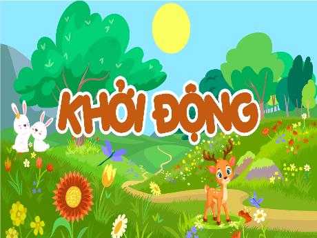 Bài giảng Khoa học Lớp 5 (Kết nối tri thức) - Chủ đề 3: Thực vật và động vật - Bài 17: Ôn tập chủ đề động vật và thực vật