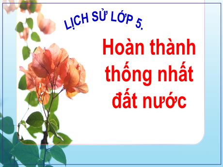 Bài giảng Lịch sử Lớp 5 - Bài 27: Hoàn thành thống nhất đất nước