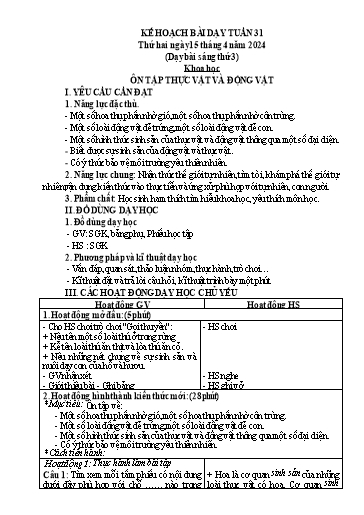 Giáo án các môn Lớp 5 - Tuần 31 - Năm học 2023-2024 - Phan Thị Hiền